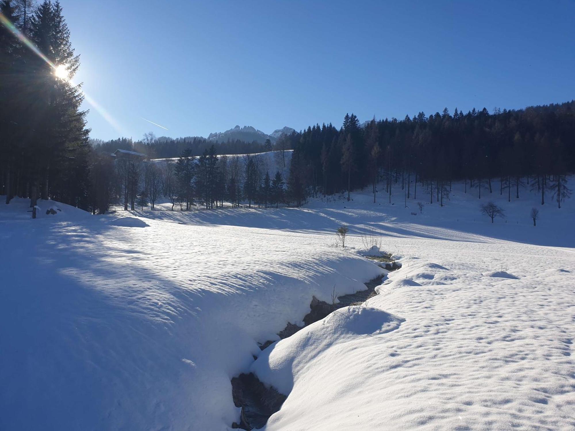 Mountain Residence Riesgut Werfen Eksteriør billede