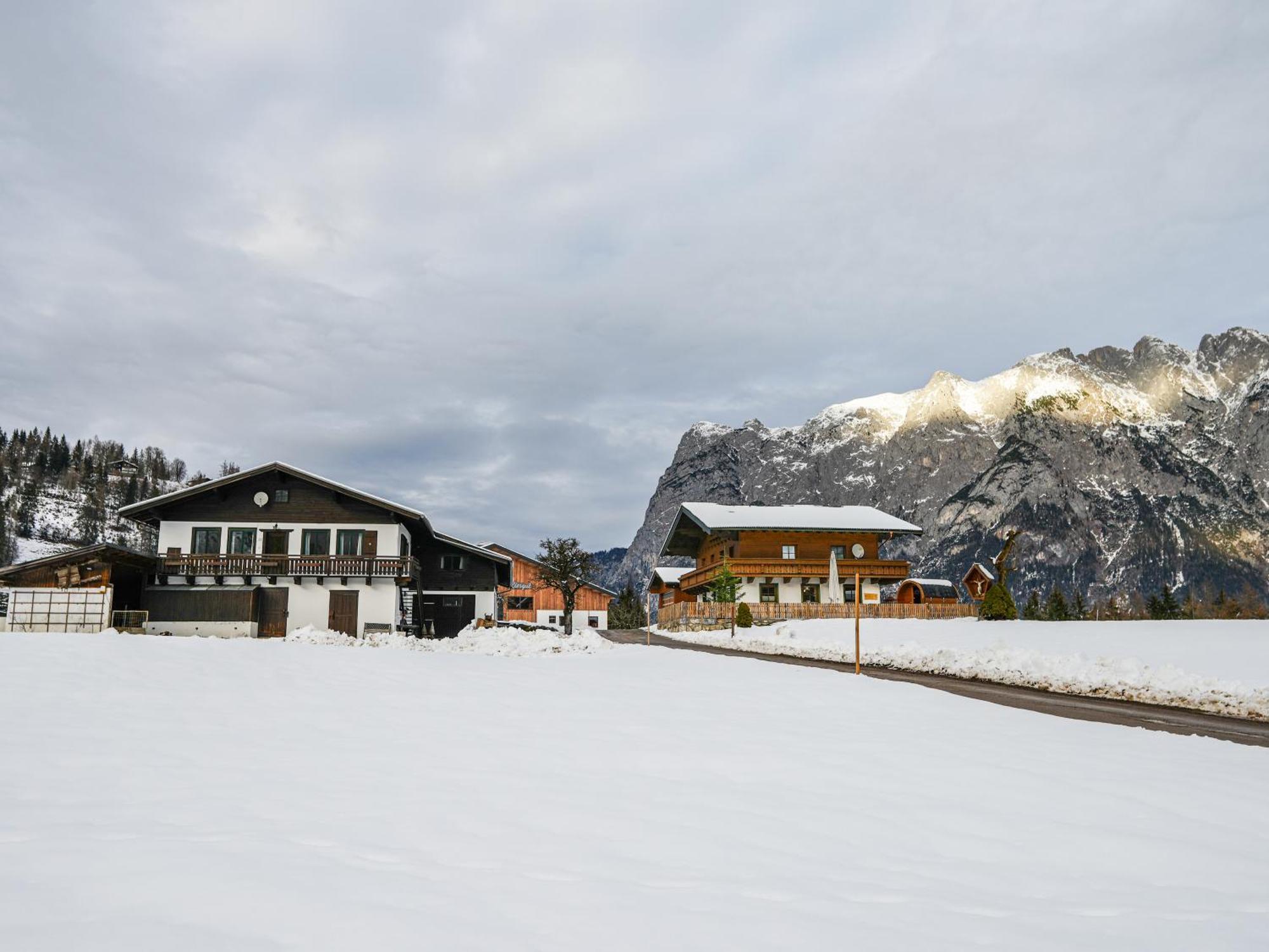 Mountain Residence Riesgut Werfen Eksteriør billede