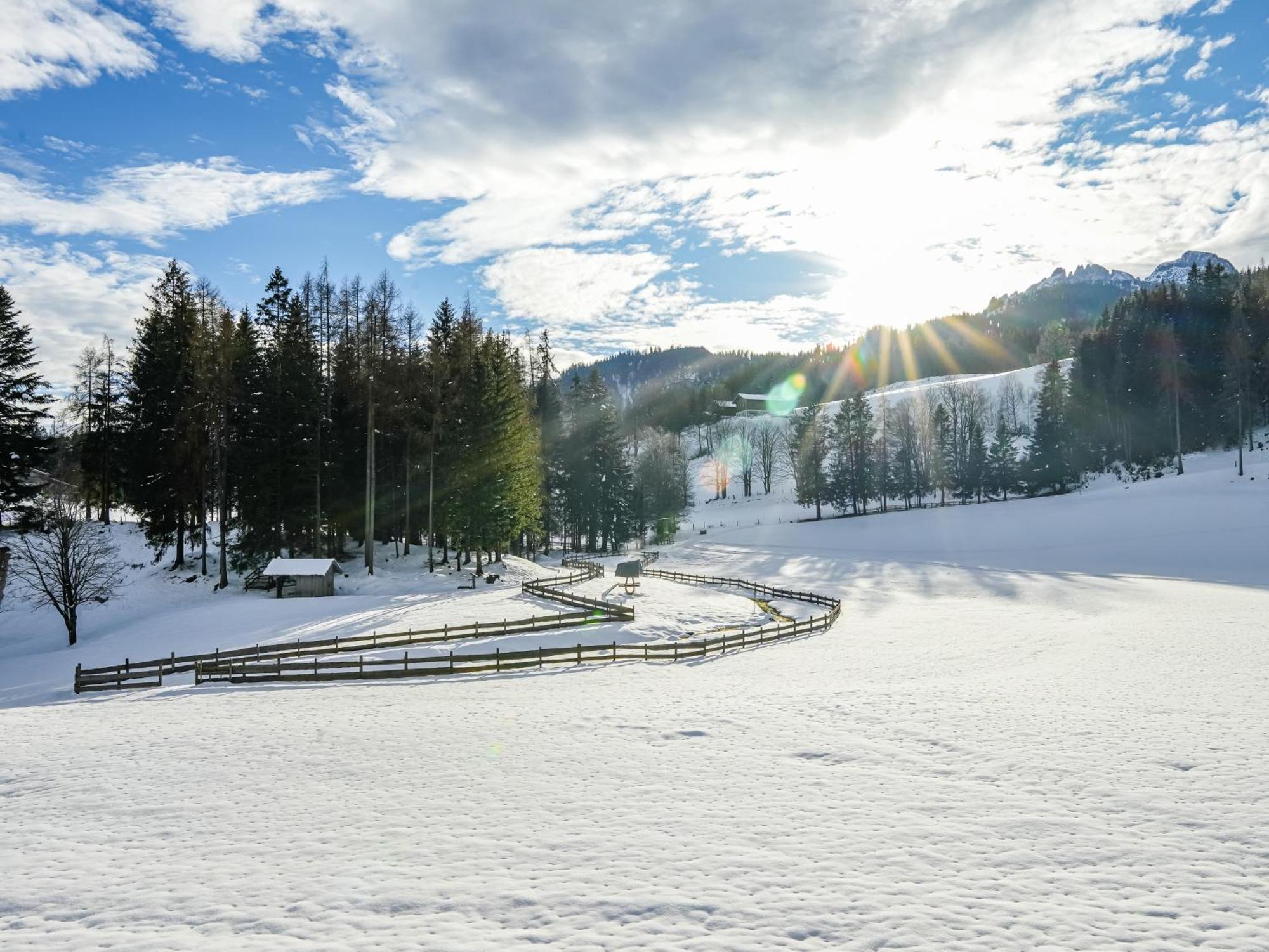 Mountain Residence Riesgut Werfen Eksteriør billede