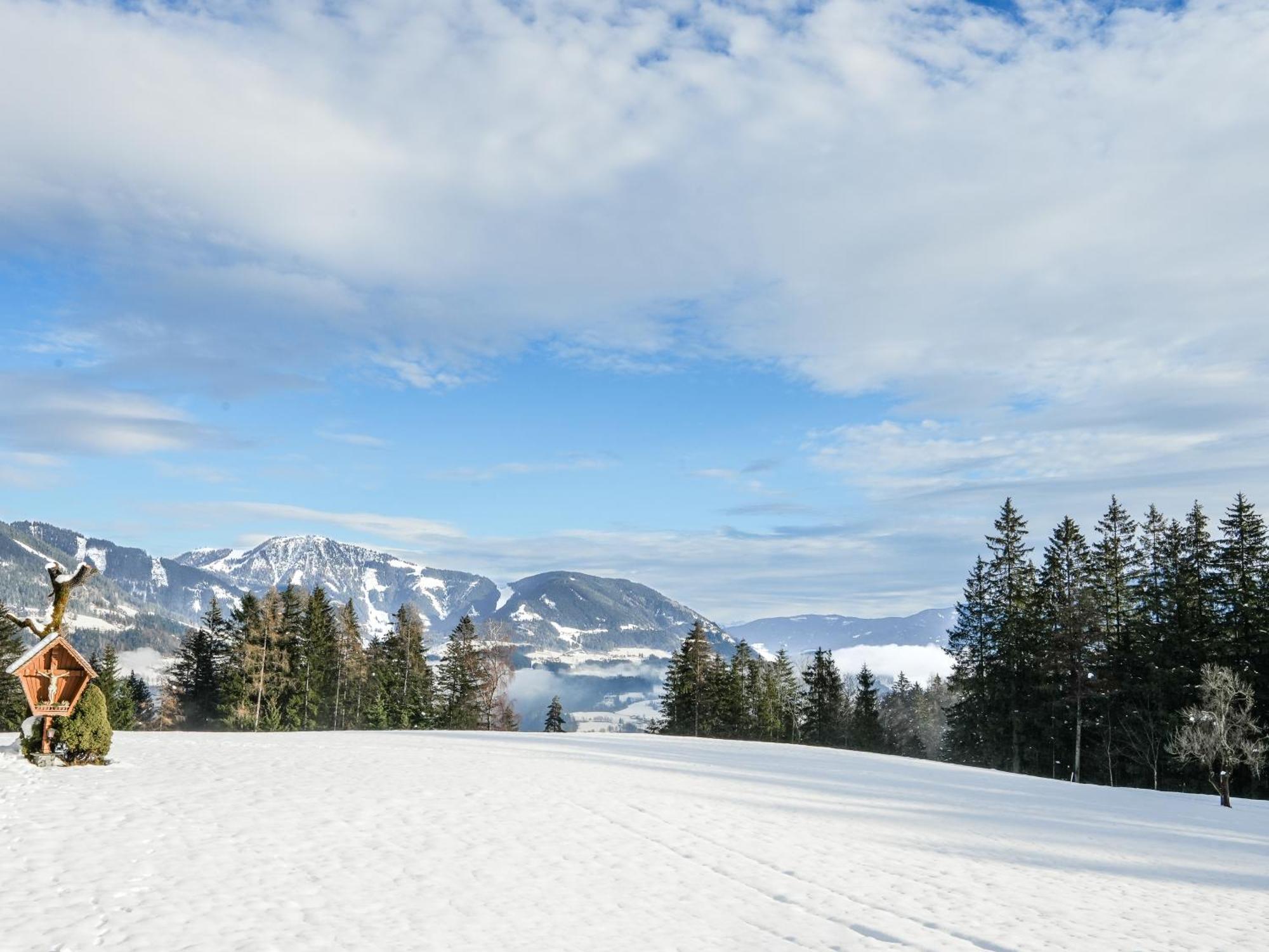 Mountain Residence Riesgut Werfen Eksteriør billede